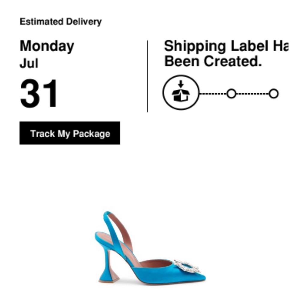 Amina Muaddi pumps - Picture 8 of 8